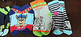 Дитячі шкарпетки демі. Р16, фото 3