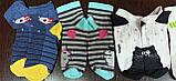 Дитячі шкарпетки демі. Р16, фото 3