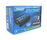 Зарядний пристрій RAGGIE RG-CA1220A для акумулятора 12V-20A, фото 3