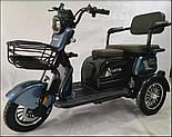 Електричний трицикл FINN  AOSTIN (600W 72V 20Ah) 2024, фото 2