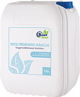Смарт Гроу Молібден / SMART GROW Mo, 10 л