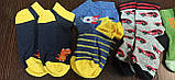 Дитячі шкарпетки демі. Р16, фото 2