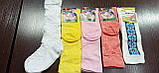Дитячі шкарпетки демі. Р16, фото 3