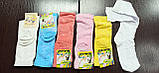 Дитячі шкарпетки демі. Р16, фото 2