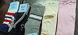Дитячі шкарпетки демі. Р16, фото 2