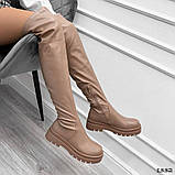 Жіночі Ботфорти панчохи на низькому ходу, жіночі бежеві ботфорти, 39 рр, фото 5