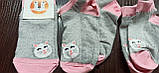 Дитячі шкарпетки демі. Р16, фото 2