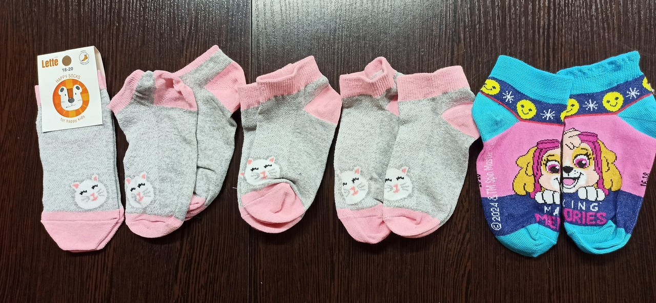 Дитячі шкарпетки демі. Р16, фото 1