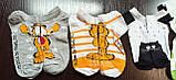 Дитячі шкарпетки демі. Р16, фото 2