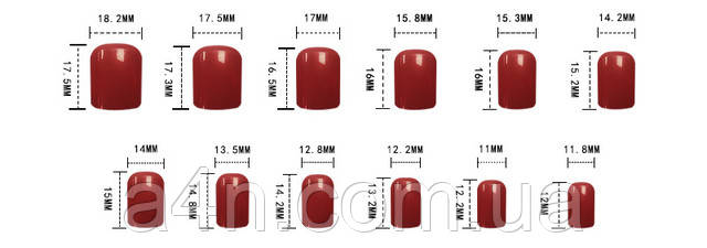 Накладные ногти - Интернет-магазин A4N Размеры накладных ногтей