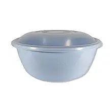 Миска пластикова для салату з кришкою Полімер-Гарант "Ягідка" 2л ПГ-1064 лагуна