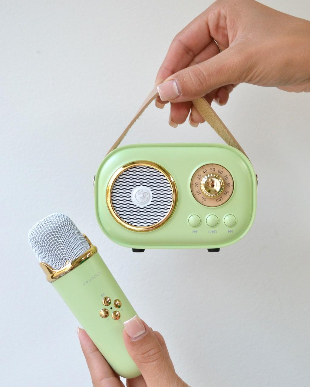 Караоке дитячий Ретро (мікрофон та колонка), фото 1