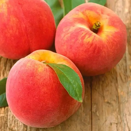 Персик Рілайнс (середньостиглий), фото 1