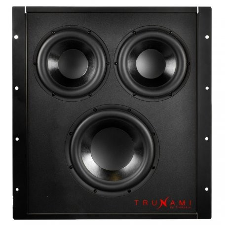 Вбудований сабвуфер TruAudio TRUNAMI-SUB Black, фото 1