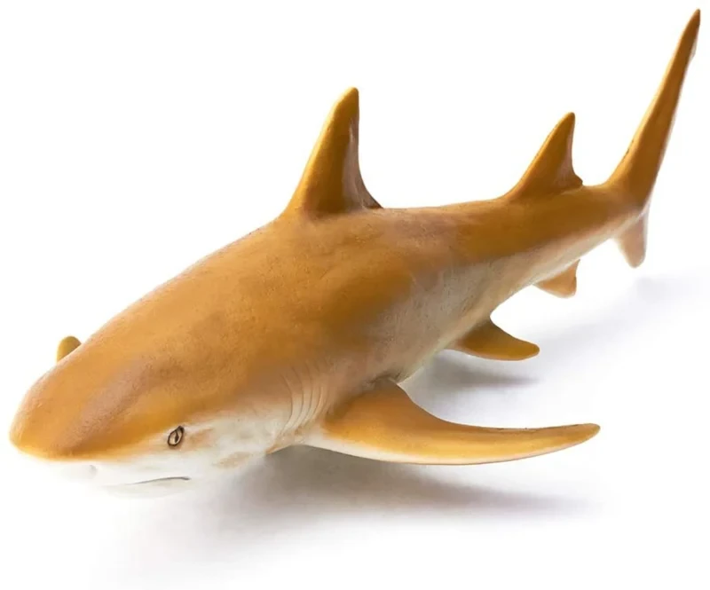 Серпоподібний лимонна акула Sicklefin Lemon Shark Recur., фото 1