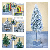 ЯЛИНКА ОФІСНА