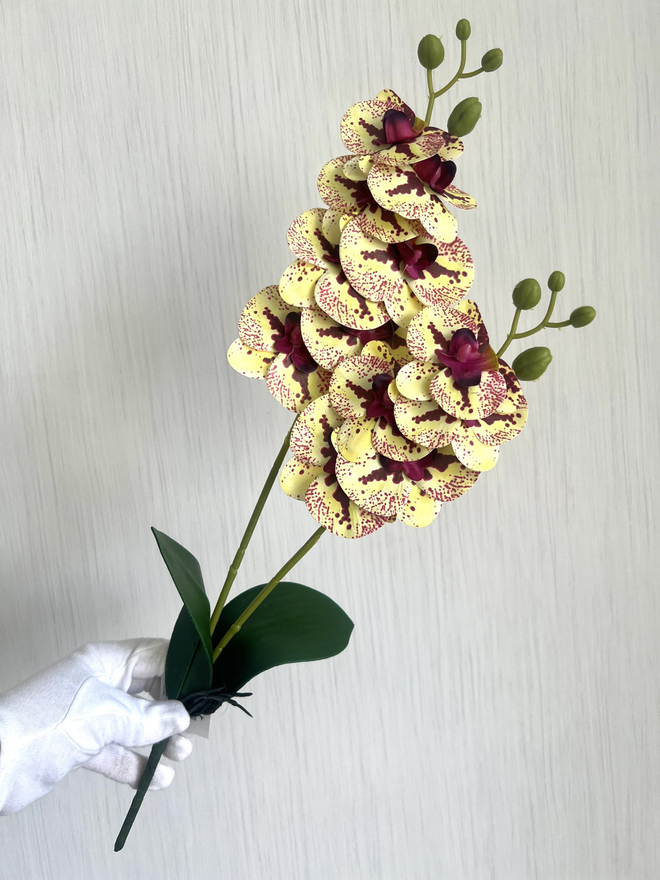 Орхідея декоративна з латексу з листиками та корицями ( 54 см), фото 1