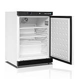 Холодильна шафа TEFCOLD UR200, фото 3