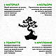 Інтер'єрна картина на стіну декор в кімнату Бонсай гармонії 20x25 см Woodyard (19033--20x25), фото 7