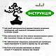 Інтер'єрна картина на стіну декор в кімнату Бонсай гармонії 20x25 см Woodyard (19033--20x25), фото 8
