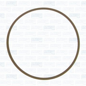 Прокладка термостата Citroen/Nissan/Renault/Suzuki All model,24027800