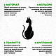 Інтер'єрна картина на стіну декор в кімнату Таємничий єгипетський кіт 25x13 см Woodyard (19076--25x13), фото 7