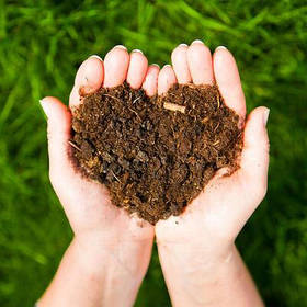 Біопрепарати