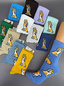 Жіночі шкарпетки Kosmi "Коргі 2" 12пар/уп