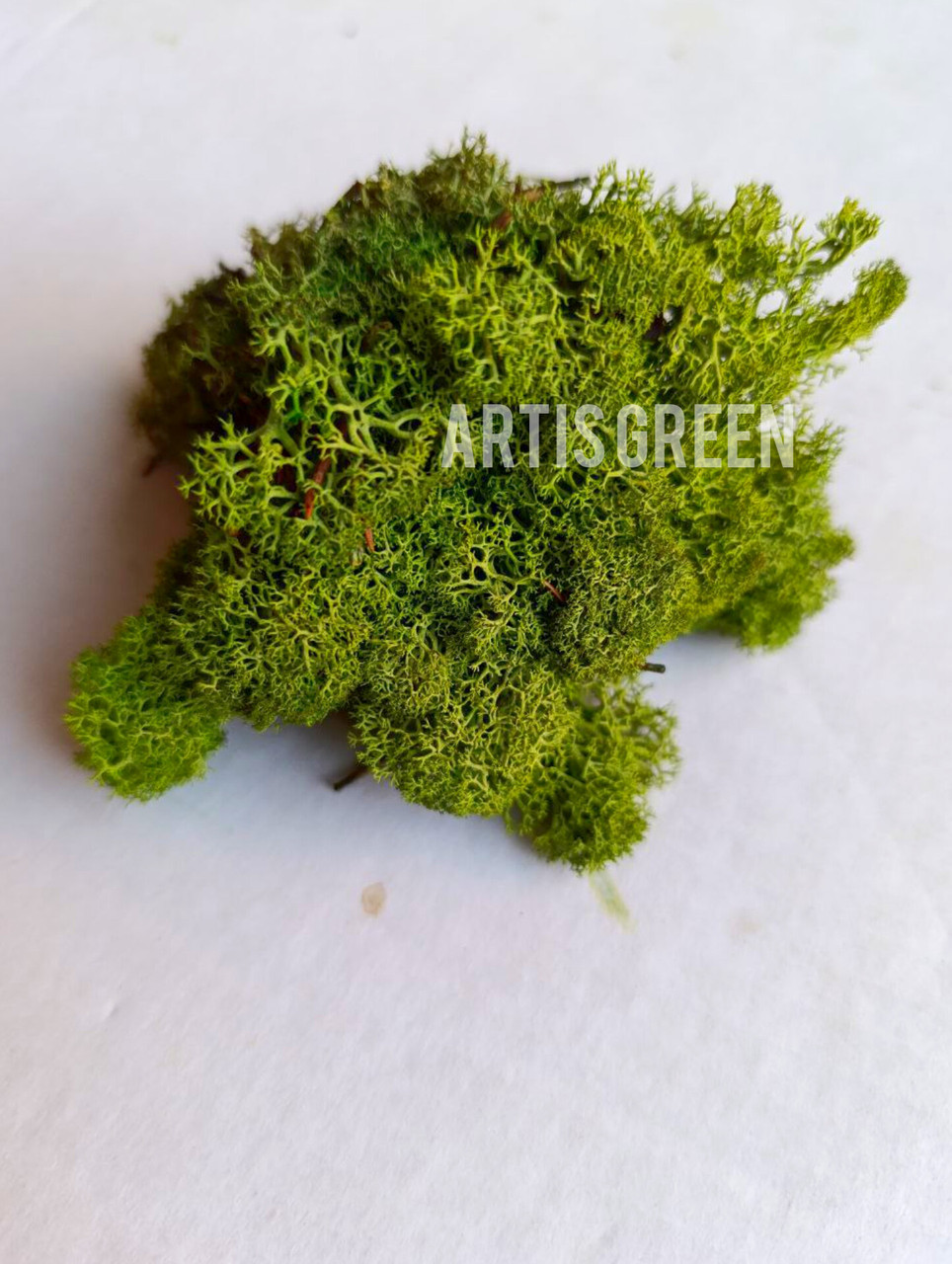 Стабілізований мох для флористики колір Medium green, Мох преміум Без догляду 10 років