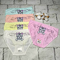 Дитячі трусики для дівчинки набір 5 шт бавовняні труси дівчинці Donella 122-128 см 6-7 років Котик 4111Y28