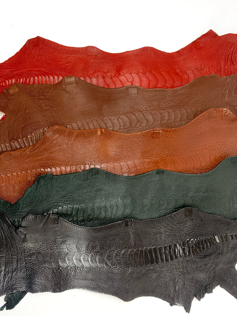 Шкіра натуральна страусіна ,лапа страуса, фото 1