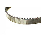 Комплект ГРМ + помпа Renault Clio III/Laguna III/Megane III/Scenic III 1.6 16V 05- (27.4x132z), фото 3