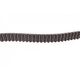 Комплект ГРМ Hyundai Getz/Kia Picanto 1.0/1.1i 02- (20x101z), фото 3