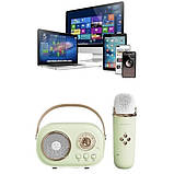 Караоке з мікрофоном на акумуляторі Ретро Bluetooth Зелений, фото 7