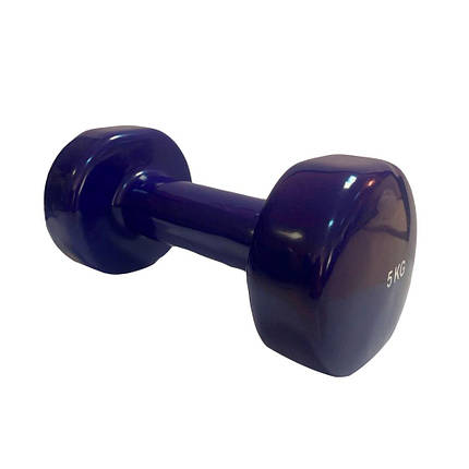 Гантель вінілова для фітнесу гантель спортивна нерозбірна фітнес гантель вініл Stein 5 кг чорна, фото 2