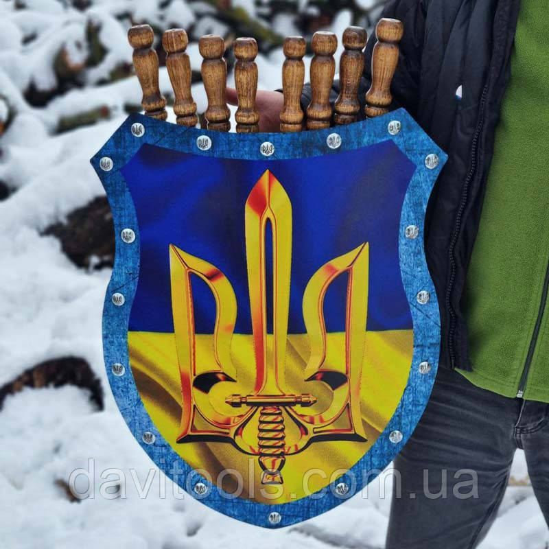 Набір шампурів подарунковий "Щит", фото 1