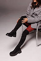 Замшеві жіночі демісезонні чоботи ботфорти утеплені на байке