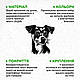 Декор в кімнату інтер'єрна картина на стіну Джек Рассел тер'єр 40x40 см Woodyard (5276--40x40), фото 7