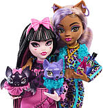 Набір Дракулаура із Клодін Monster High Faboolous Pets, фото 4