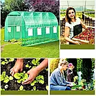 Парник теплиця для саду та городу (400 x 250см) 10 m², фото 2