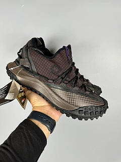 Чоловічі кросівки Nike ACG Mounth Low GTX