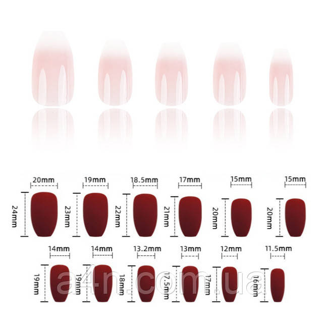 Накладные ногти - Интернет-магазин A4N Размеры накладных ногтей