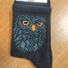 Шкарпетки жіночі Сова р.36-40