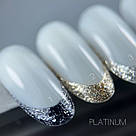 Гель-фарба для дизайну SAGA Professional Platinum gel #2, 5 мл, фото 3