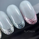 Гель-фарба для дизайну SAGA Professional Platinum gel #2, 5 мл, фото 4