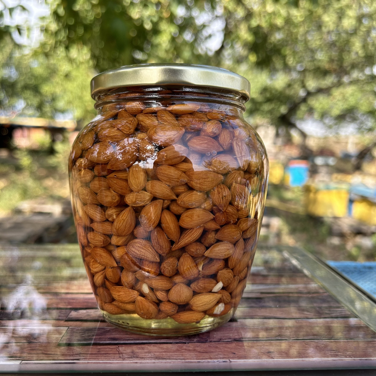 Ядра кісточки абрикоса у меду акації 0,7 л (850 грам)
