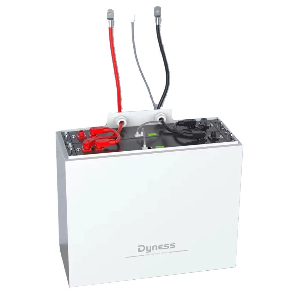 Корпус для акумуляторних батарей Dyness B4850-BOX, фото 1