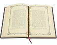 Книги "Історичні монографії" Більбасов В.А. 5 томів у шкіряній палітурці та подарунковому шкіряному футлярі, фото 6