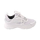 Кросівки чоловічі Vadrus білі текстиль, 45, фото 3