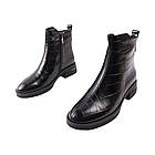 Черевики жіночі Polann чорні натуральна шкіра, 39, фото 5